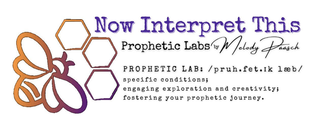 Melody Paasch's Now Interpret This Lab